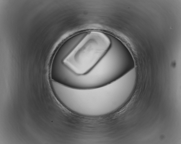 X0000098031326200803280722