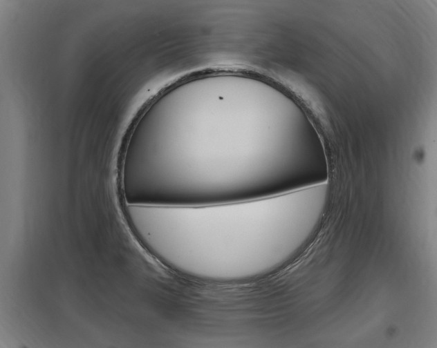 X0000098031327200803280722