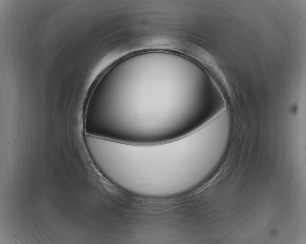 X0000098031328200803280722