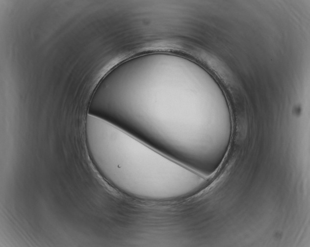 X0000098031329200803280722