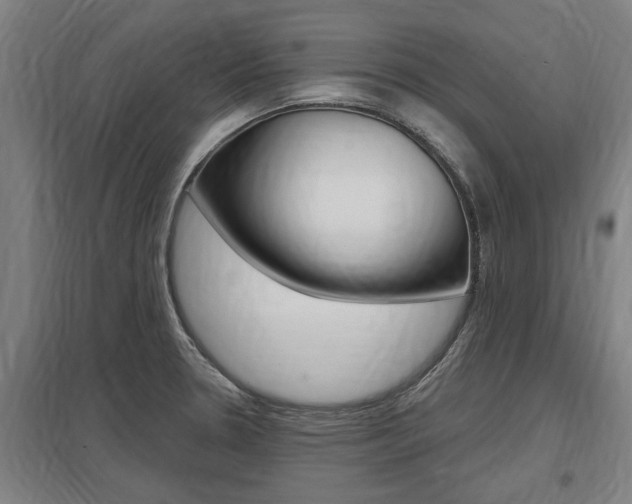 X0000098031330200803280722
