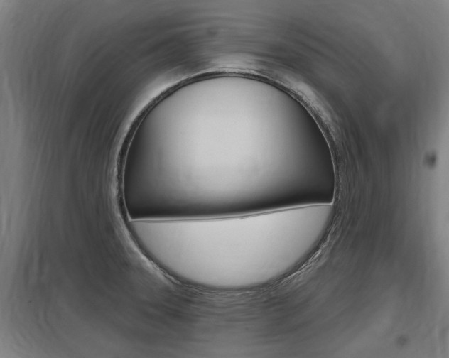X0000098031331200803280722