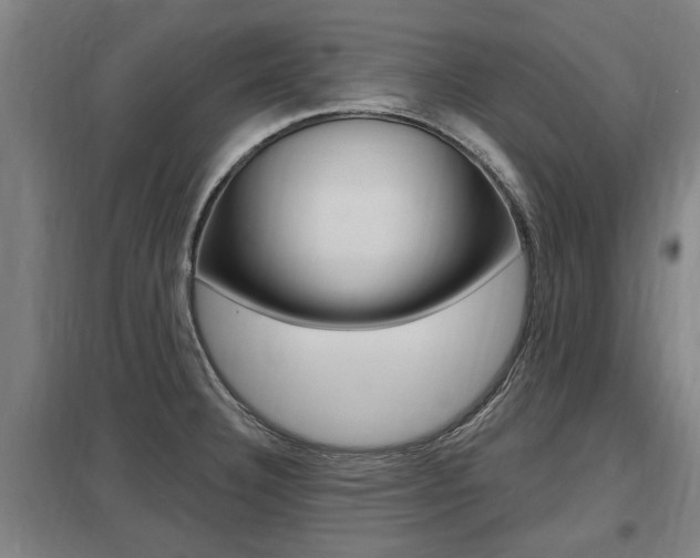 X0000098031332200803280722