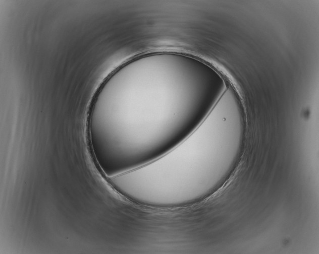 X0000098031333200803280722