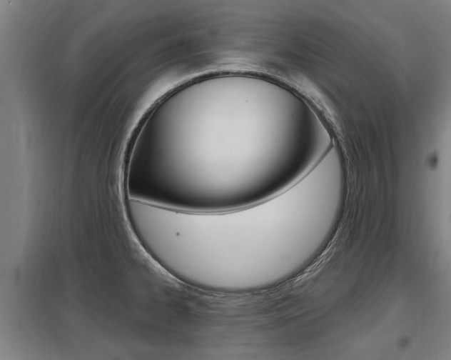 X0000098031334200803280722