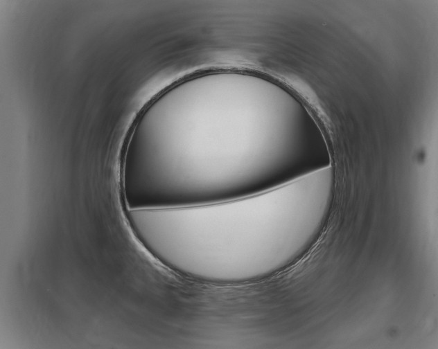 X0000098031335200803280722