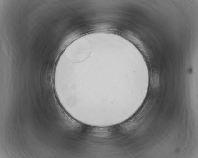 X0000098031338200803280722