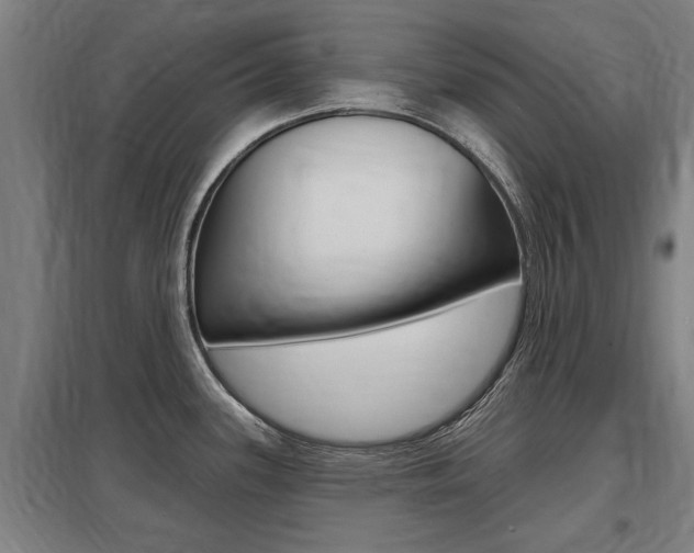 X0000098031339200803280722
