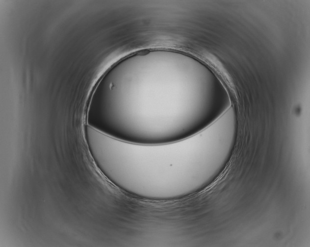 X0000098031340200803280722