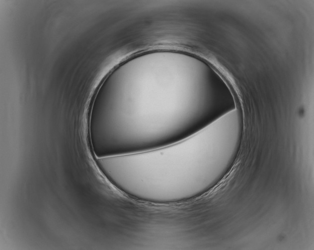 X0000098031341200803280722