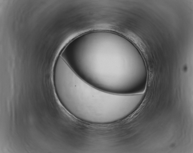 X0000098031342200803280722