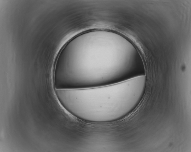 X0000098031343200803280722
