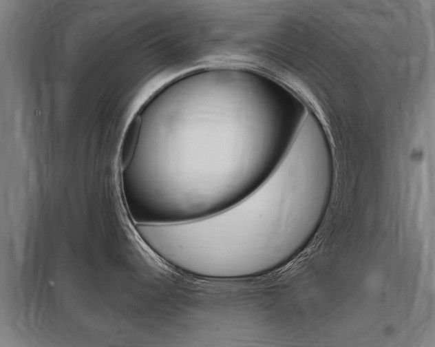 X0000098031344200803280722