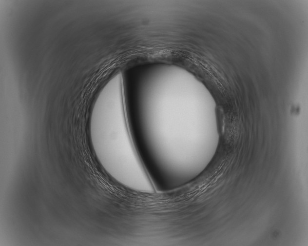 X0000098031345200803280721