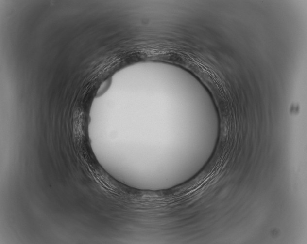 X0000098031346200803280721