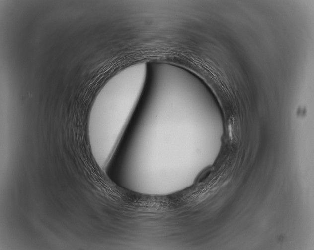 X0000098031347200803280721