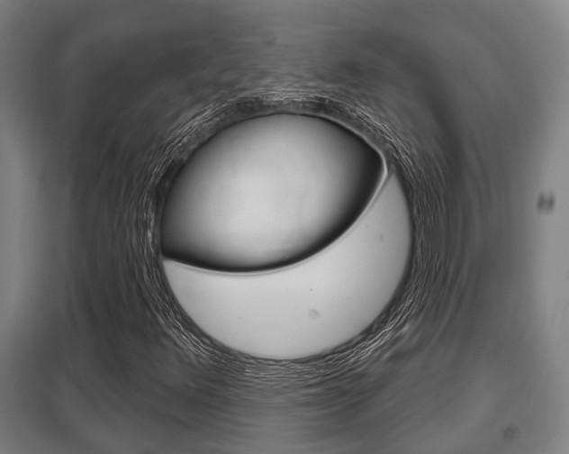 X0000098031348200803280721