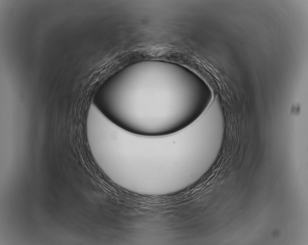 X0000098031349200803280721