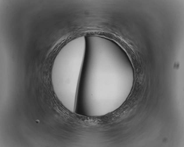 X0000098031351200803280721