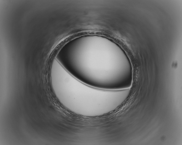 X0000098031352200803280721