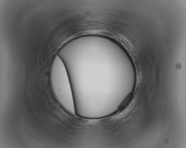 X0000098031353200803280721