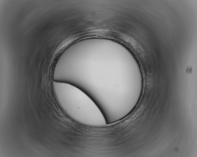 X0000098031354200803280721