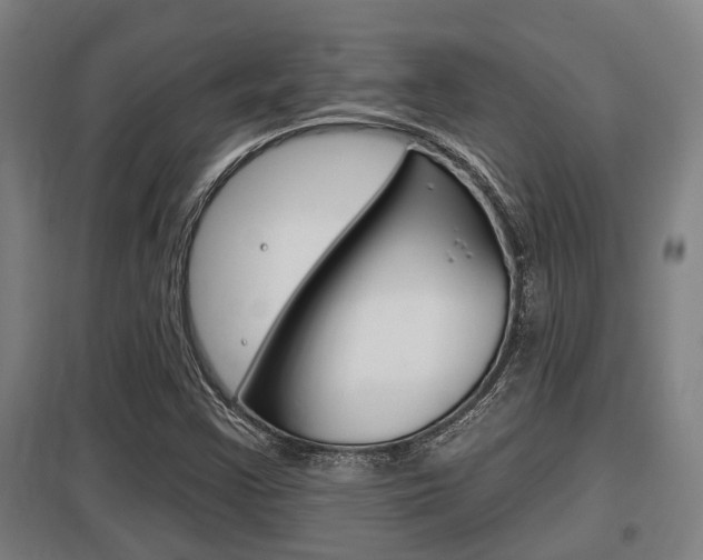 X0000098031355200803280721