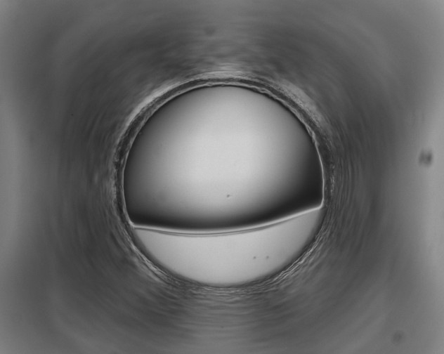 X0000098031356200803280721