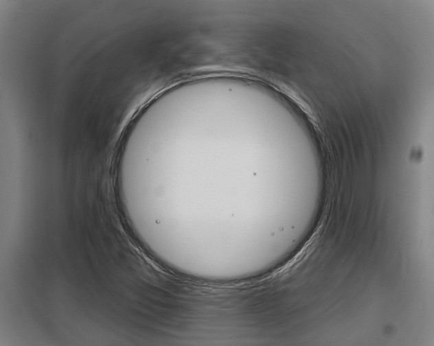 X0000098031357200803280721