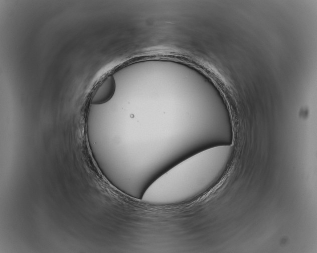 X0000098031358200803280721