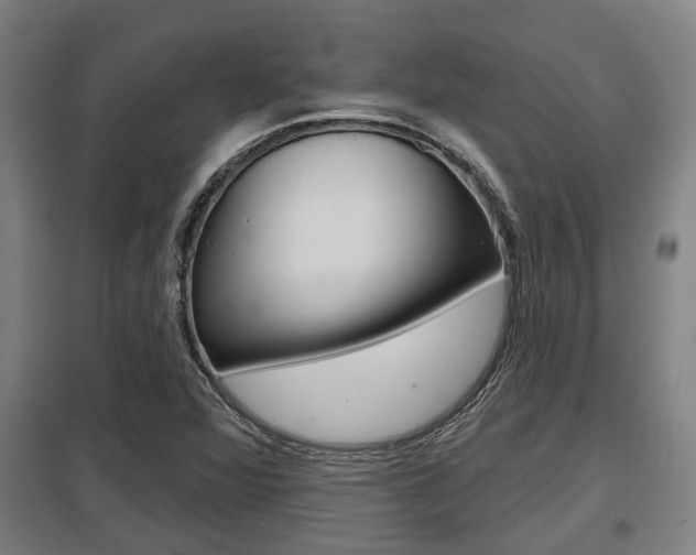 X0000098031360200803280721