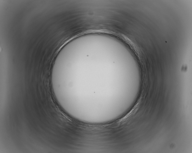 X0000098031361200803280721
