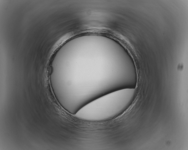 X0000098031362200803280721
