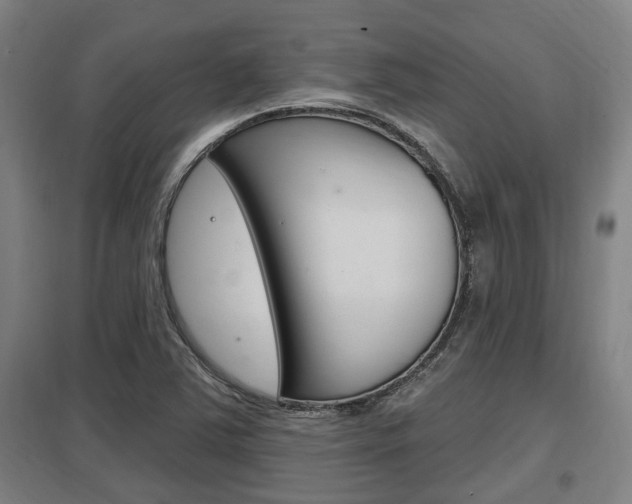 X0000098031363200803280721