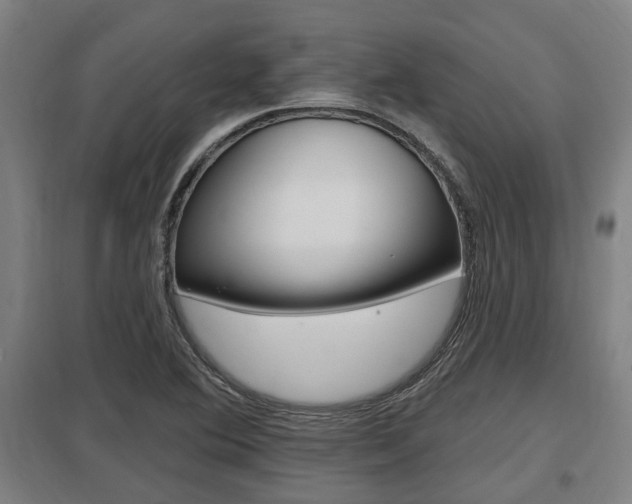 X0000098031364200803280721