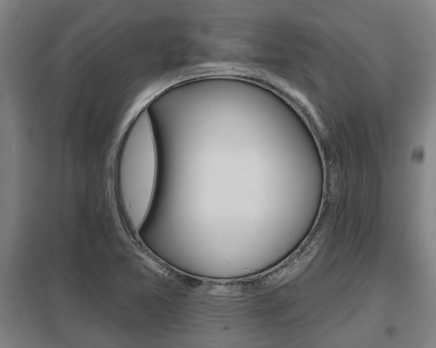 X0000098031365200803280721
