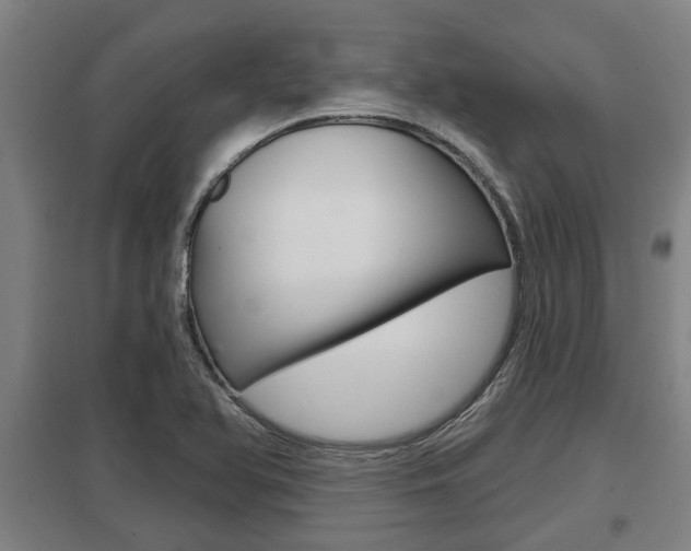 X0000098031366200803280721