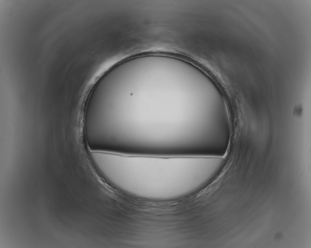 X0000098031367200803280721