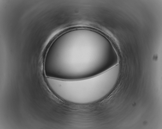 X0000098031368200803280721