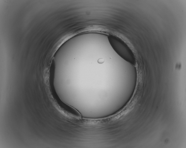 X0000098031369200803280721