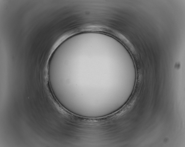 X0000098031370200803280721