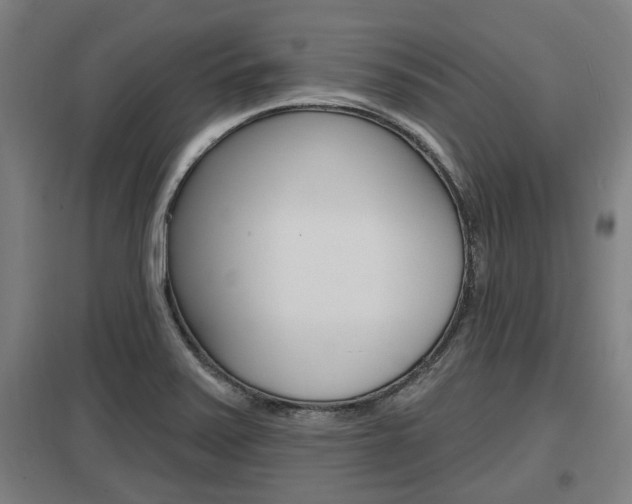 X0000098031371200803280721