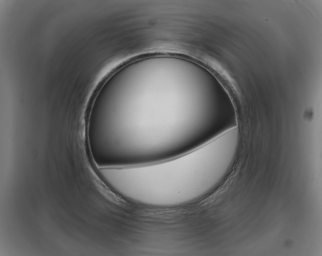 X0000098031372200803280721