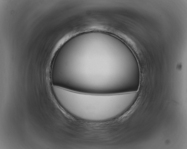 X0000098031373200803280721