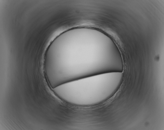 X0000098031374200803280721