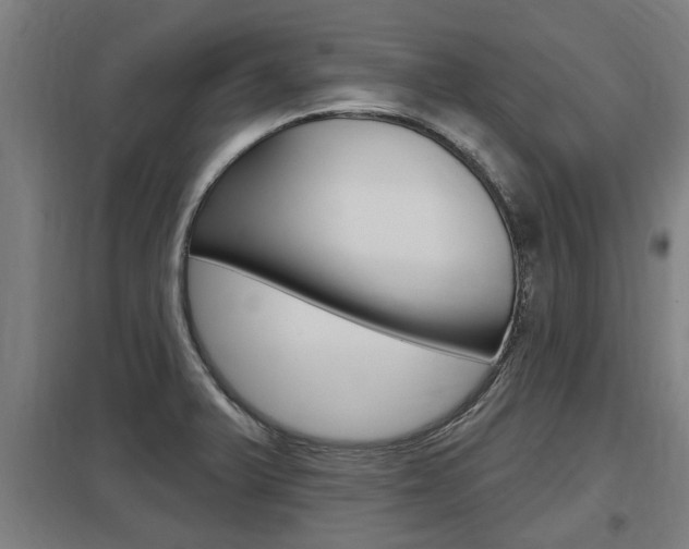 X0000098031375200803280721