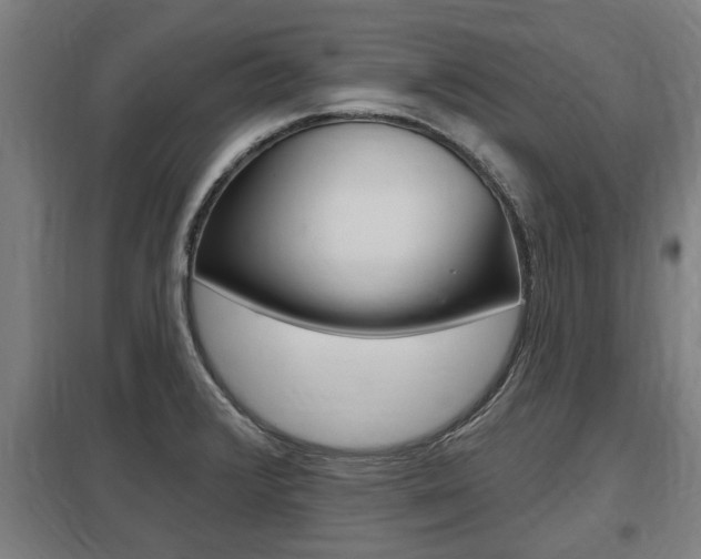 X0000098031376200803280721