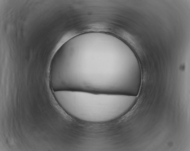 X0000098031378200803280721