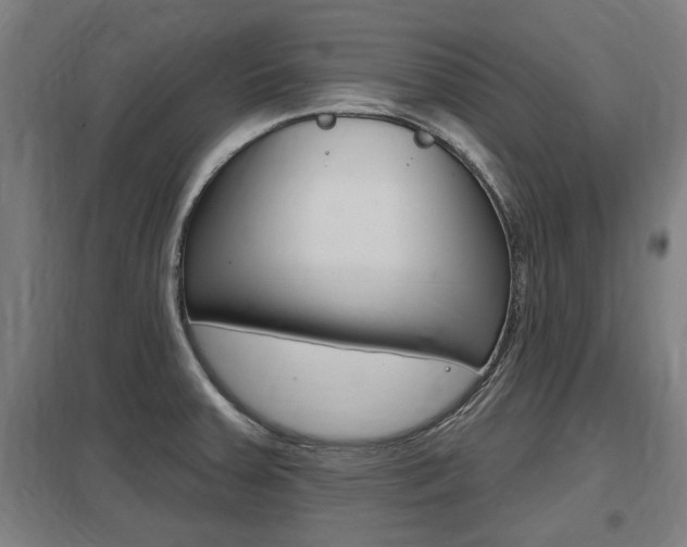 X0000098031379200803280721