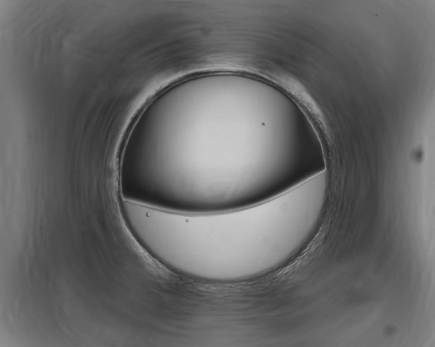 X0000098031380200803280721